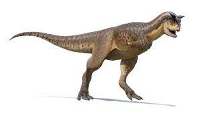 Carnotaurus: todo sobre esta bestia