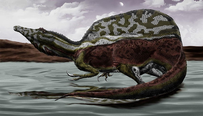Spinosaurus: El Feroz Dinosaurio de la Era Jurásica