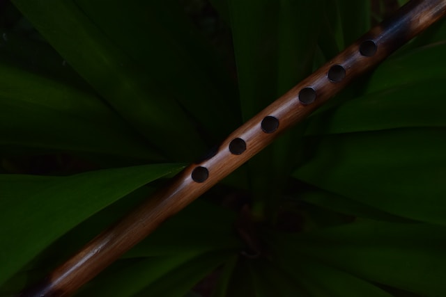 detalles para aprender a tocar la flauta